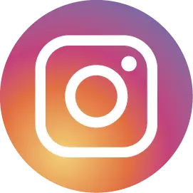 ig icon